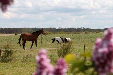 FEWO-Zingst-bresewitz04.jpg